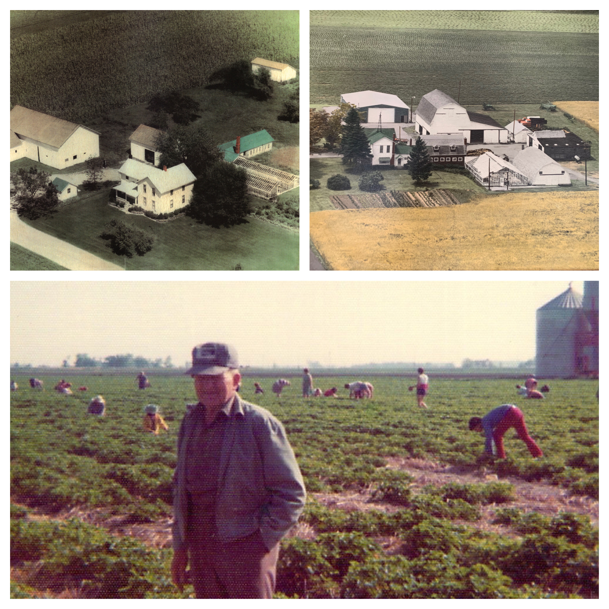 Images of a farm